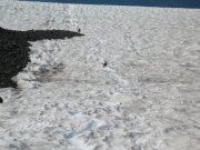 8.28.06 Mt. Adams 188 